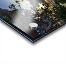 Brandy Wine Acrylic print