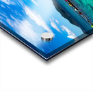 Carrot Bay Boat Acrylic print