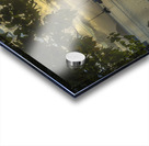 Cane Garden Sunset Acrylic print