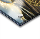 Crystall Ball on a Dock Line Acrylic print