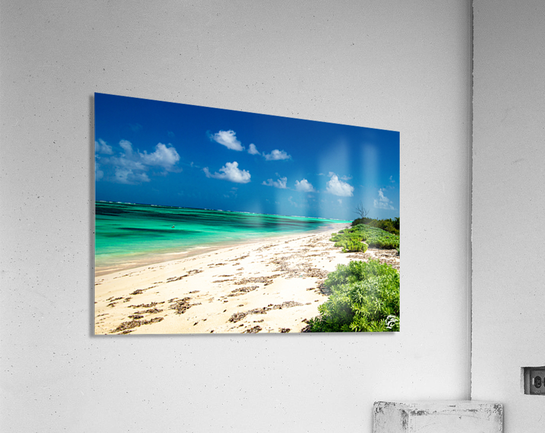 Anegada North Shore Acrylic Print