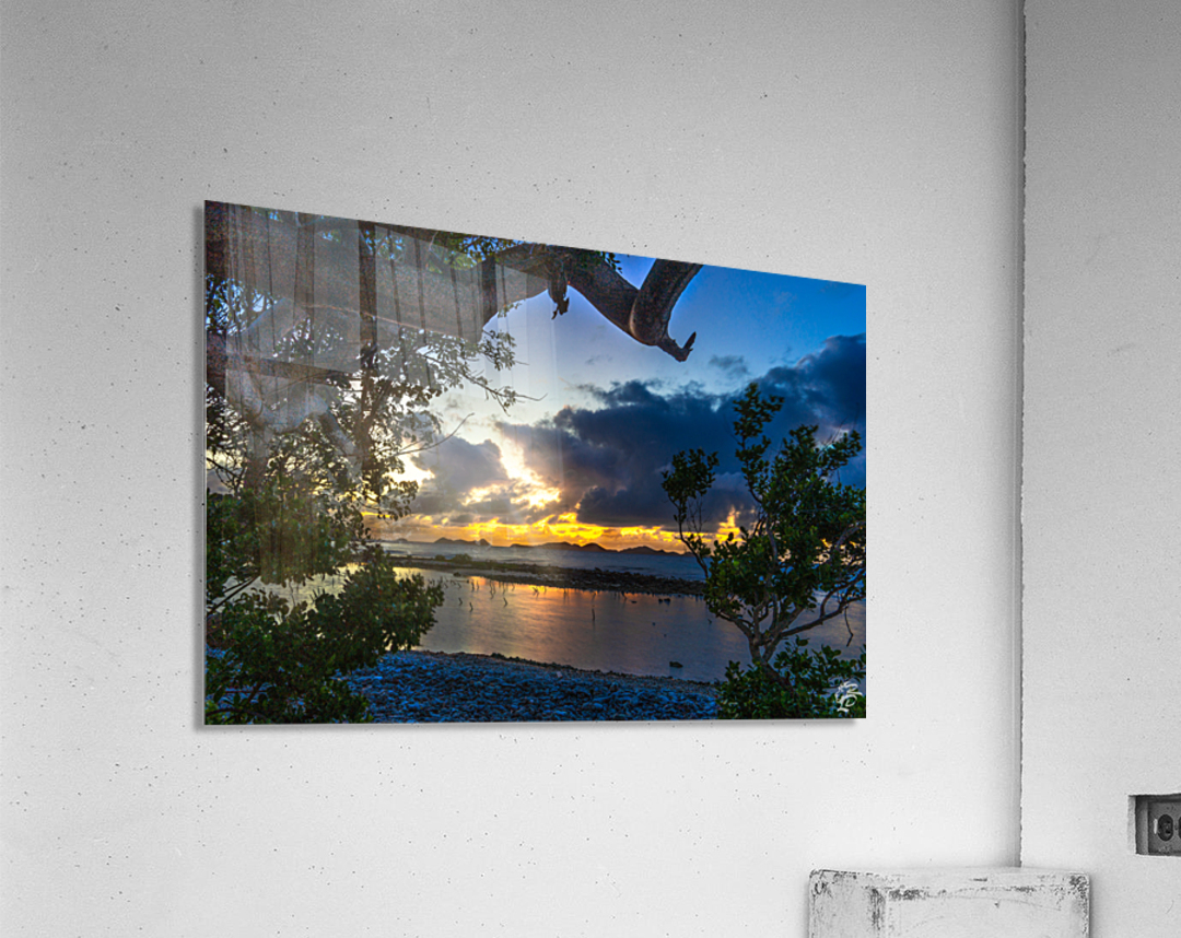 Brandy Wine Acrylic Print