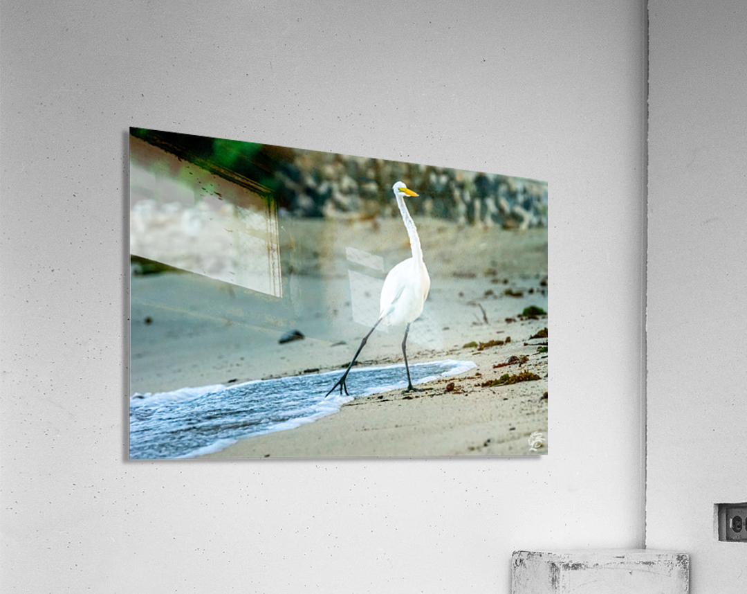 Its Cold Acrylic Print