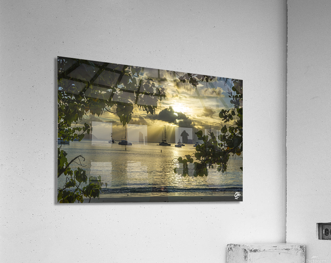 Cane Garden Sunset Acrylic Print