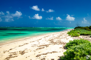 Anegada North Shore