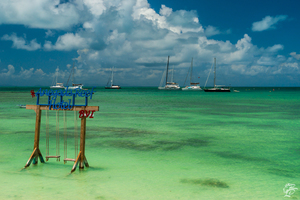 Anegada Reef 2
