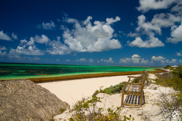 A Bench in Paradise Print