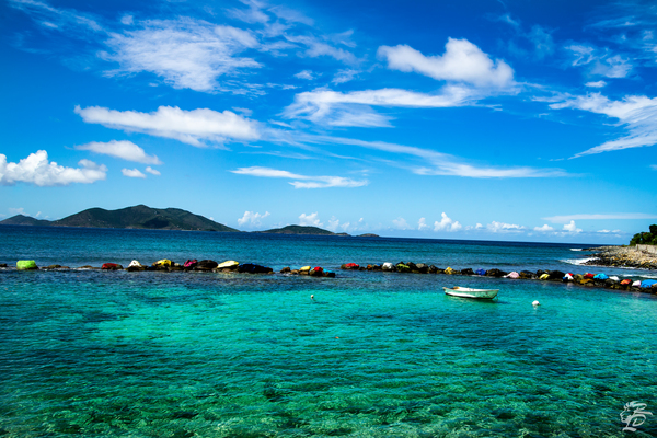 Carrot Bay Boat Print