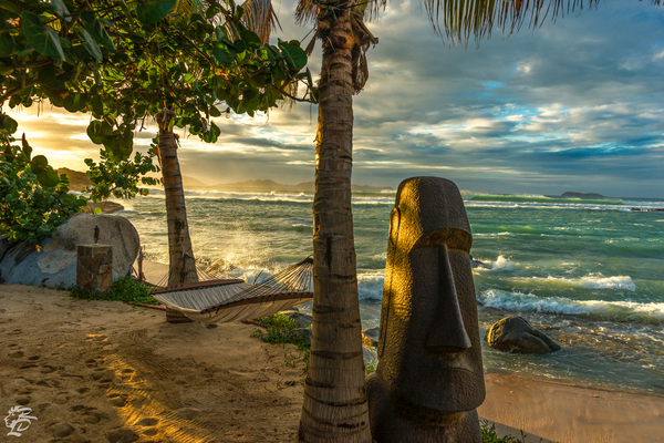 CoCoMaya Vacation Print