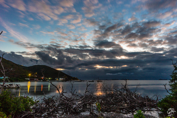 Sea Cows Bay Sunrise Print