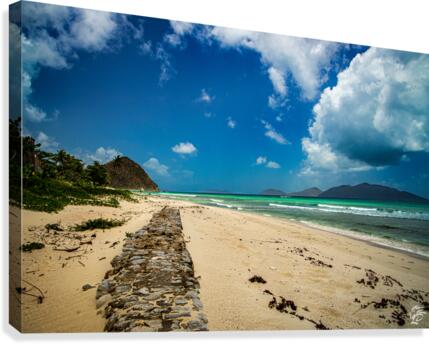 Long Bay Wall Canvas Print