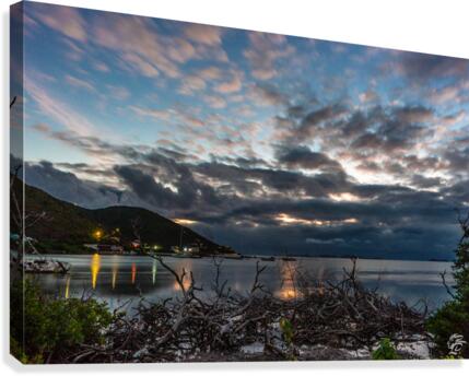 Sea Cows Bay Sunrise Canvas Print