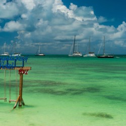 Anegada Reef 2