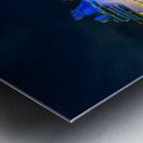 Pier Park Ships Metal print