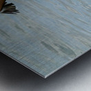 Fishing Booby Metal print