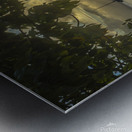 Cane Garden Sunset Metal print