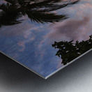 Sunset Palm   Cane Garden Bay Metal print