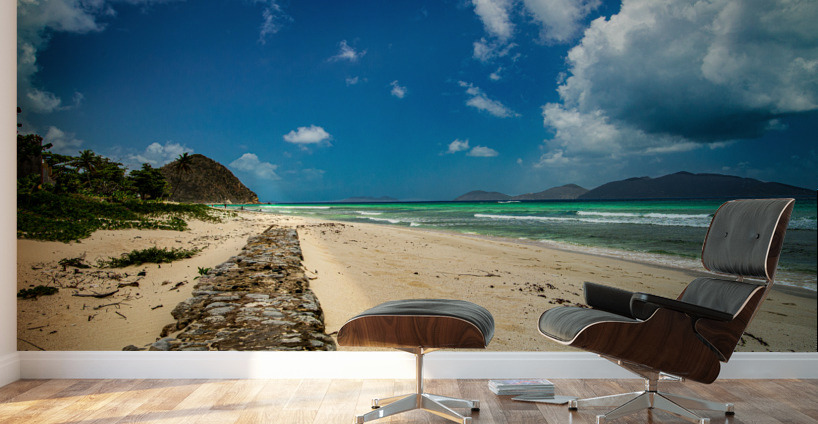 Long Bay Wall Wall Murals