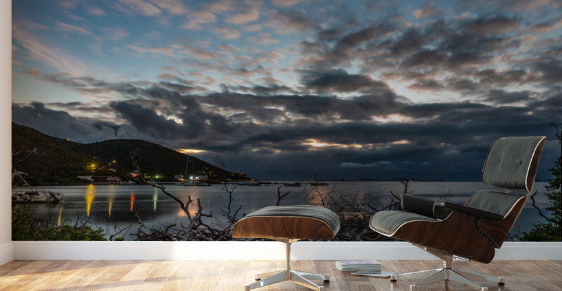 Sea Cows Bay Sunrise Wall Murals