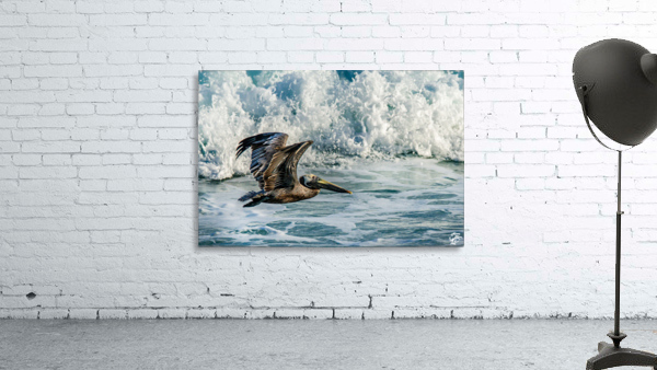 Surfing Pelican Wall Preview