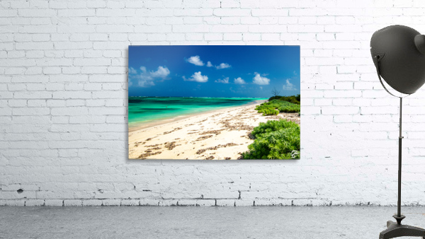 Anegada North Shore Wall Preview