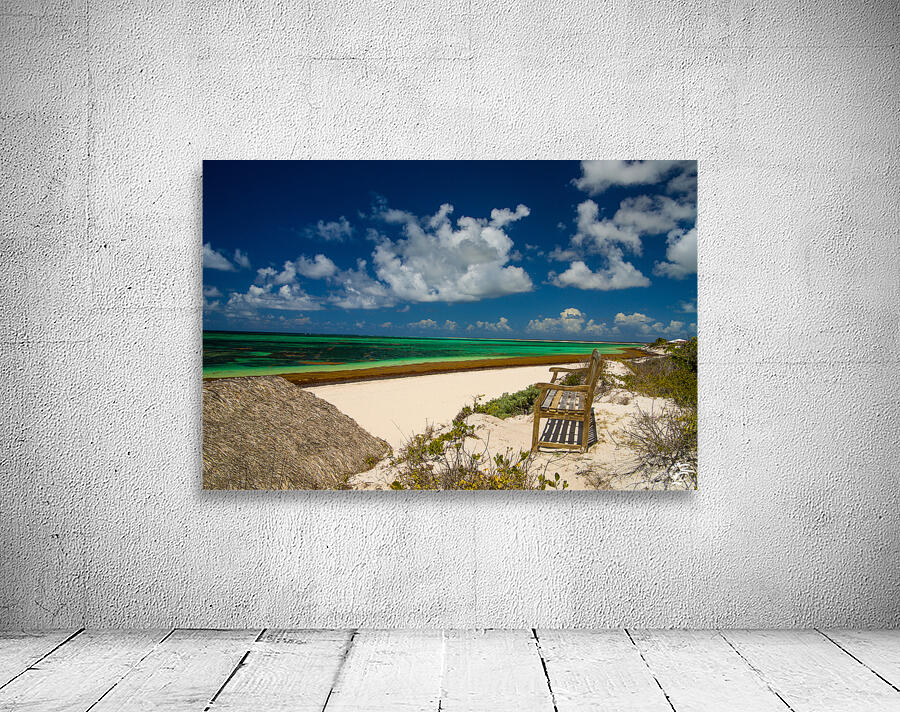 A Bench in Paradise Wall Preview