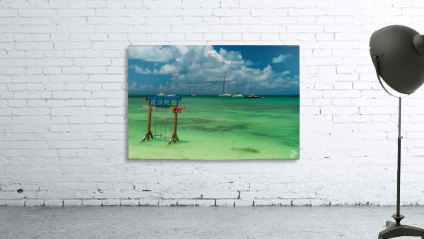 Anegada Reef 2 Wall Preview