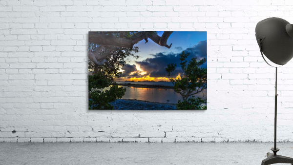 Brandy Wine Wall Preview