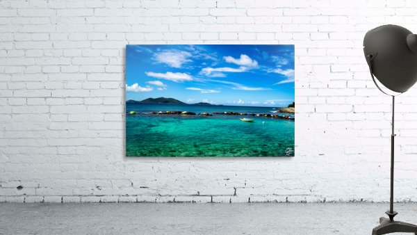 Carrot Bay Boat Wall Preview