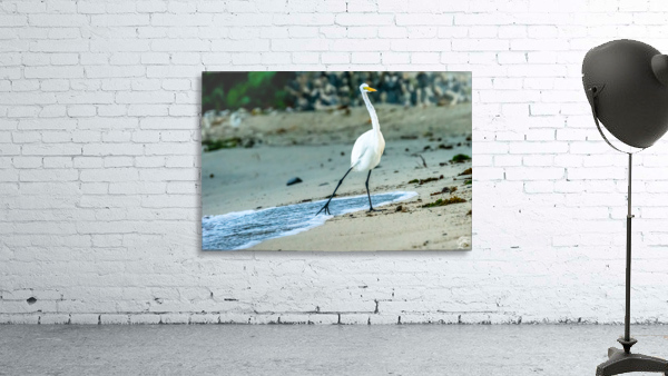 Its Cold Wall Preview