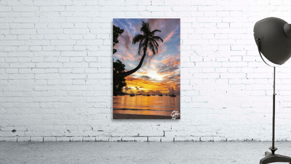 Sunset Palm   Cane Garden Bay Wall Preview