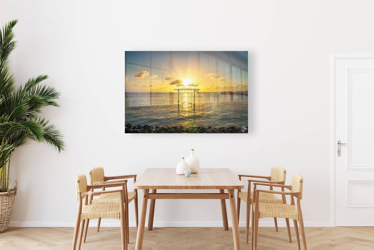 Anegada Reef Reproduction