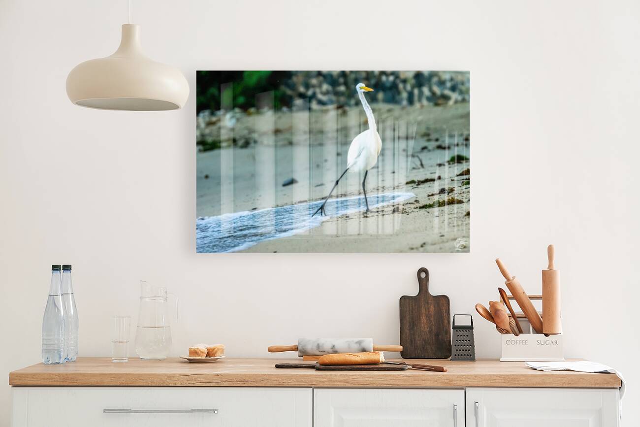 Its Cold Reproduction