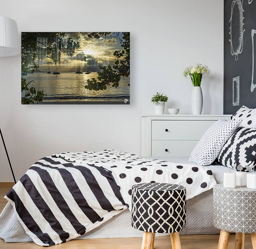 Cane Garden Sunset Reproduction